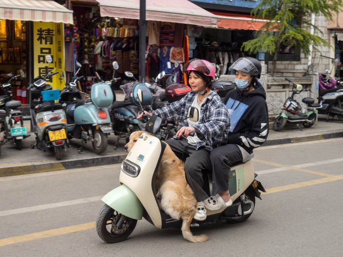 China: Yunnan y el Tíbet